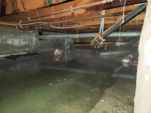 Best Water damage restoration near me  in Maricopa, CA