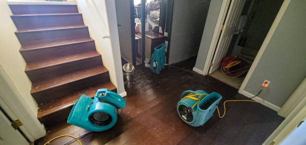 Best Professional water damage repair  in Maricopa, CA