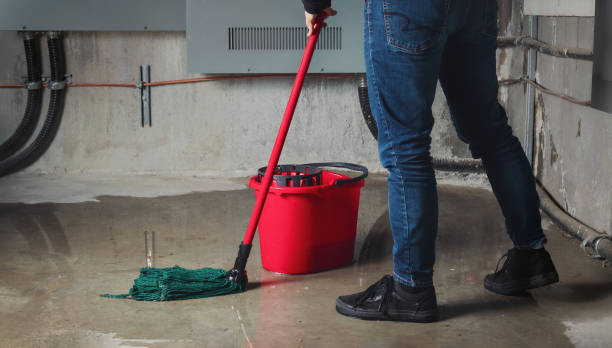 Best Water damage restoration company  in Maricopa, CA
