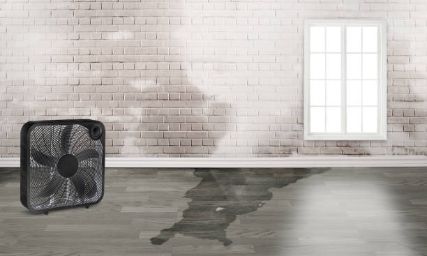 Best Flood restoration services  in Maricopa, CA
