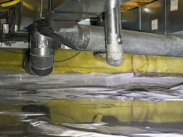 Best Water damage restoration mold remediation  in Maricopa, CA